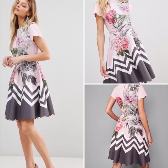 Ted Baker Dresses & Skirts - Ted Baker Hailie Palace Gardens Dress Sz T 2/US 6
